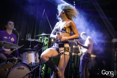 Amyl and The Sniffers