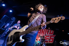 Danko Jones