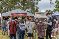 Fairgrounds Festival 2019 - Berry, NSW  -Day One