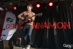 Gerry Cinnamon