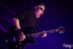 George Thorogood & The Destroyers