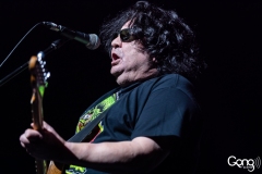 Richard Clapton