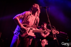 Lime Cordiale