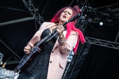 Dallas Frasca