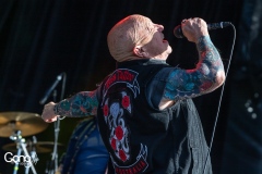 Rose Tattoo