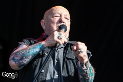 Rose Tattoo
