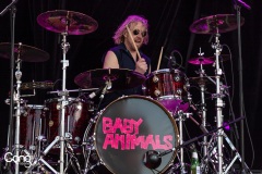 Baby Animals