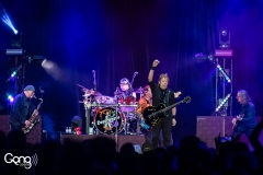 George Thorogood & The Destroyers