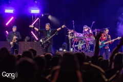 George Thorogood & The Destroyers
