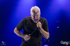 Daryl Braithwaite