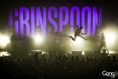 Grinspoon