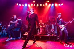 The Damned