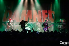 The Damned