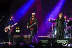 The Psychedelic Furs