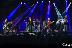 The Psychedelic Furs