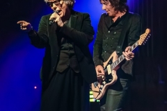 The Psychedelic Furs