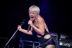 Amyl and The Sniffers