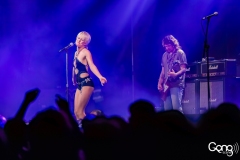 Amyl and The Sniffers