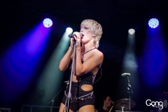 Amyl and The Sniffers