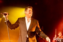 Tony Hadley