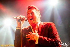 Tony Hadley