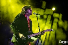 Tex Perkins