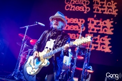 Cheap Trick