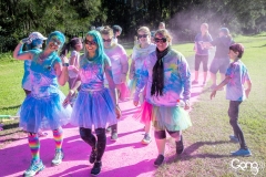 COLOUR FRENZY