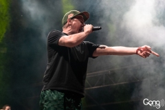 Hilltop Hoods