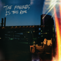 The Pinheads   New Single & Clip ‘Feel It Now’ ‘Is This Real’ out May 24 via Farmer & The Owl / Inertia